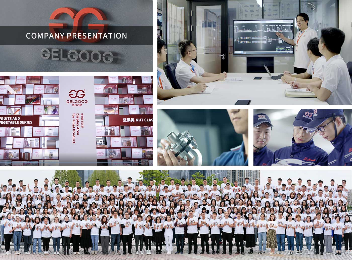 Giới thiệu về công ty