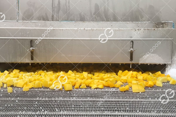 Ứng dụng tủ đông đường hầm iqf.jpg Ứng dụng tủ đông đường hầm iqf.jpg