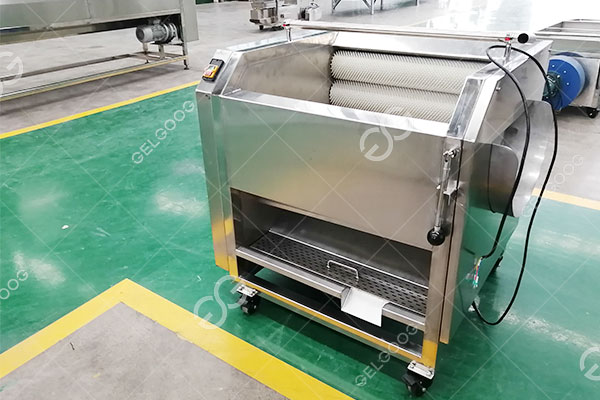 cây-rửa-gừng.jpg cây-rửa-gừng.jpg