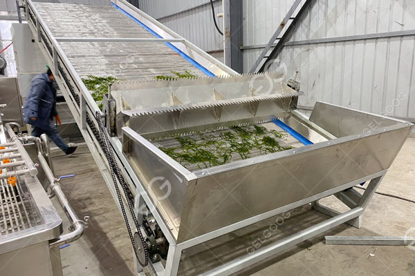 máy sấy đai lưới rong biển.jpg máy sấy đai lưới rong biển.jpg