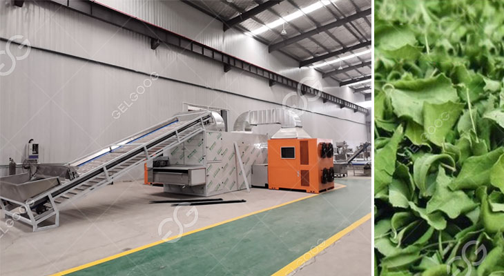 máy-sấy-lá.jpg leaf-drying-machine.jpg