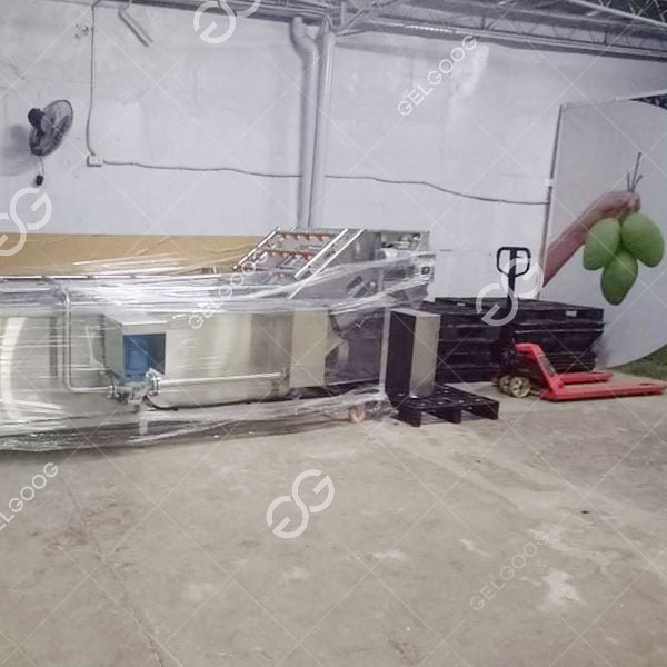 Máy chế biến xoài Philippines Philippine mango processing machine