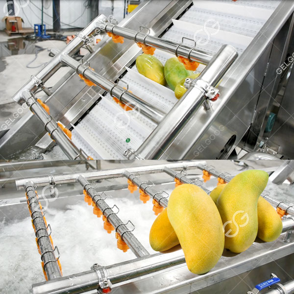 máy rửa xoài tươi washing machine for fresh mango