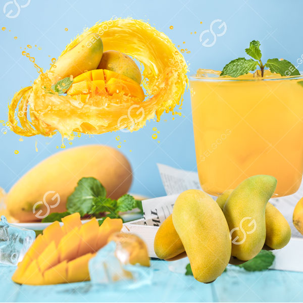 doanh nghiệp chế biến xoài mango processing business