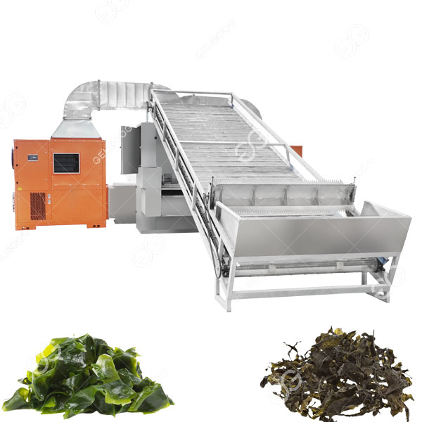 máy sấy đai lưới1.jpg