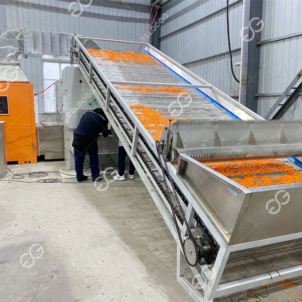 máy sấy trái cây.jpg