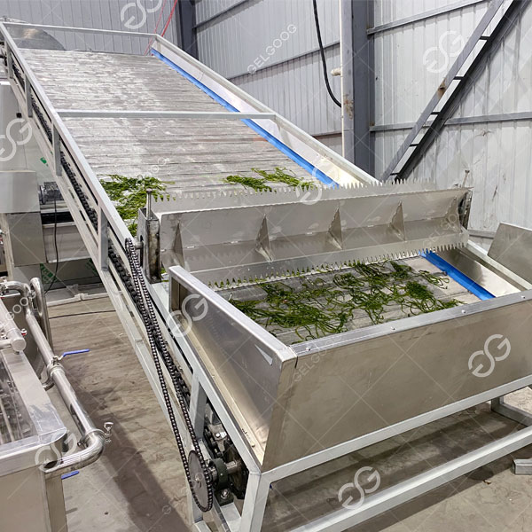 máy sấy đai lưới4.jpg