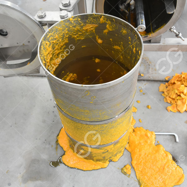 máy nghiền xoài.jpg