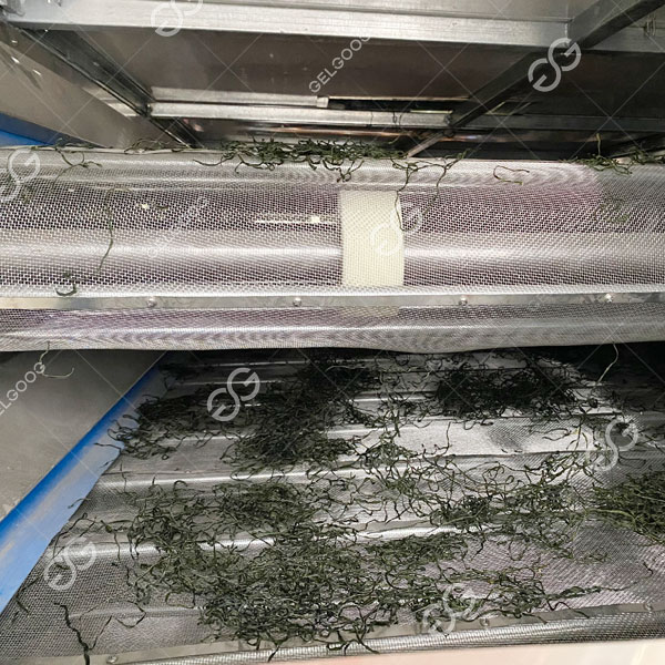 máy sấy đai lưới 3.jpg