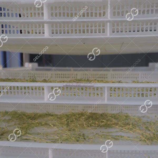 máy sấy trái cây.jpg