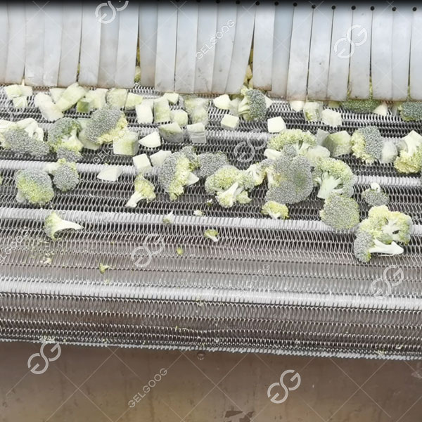 ứng dụng tủ đông tầng sôi.jpg