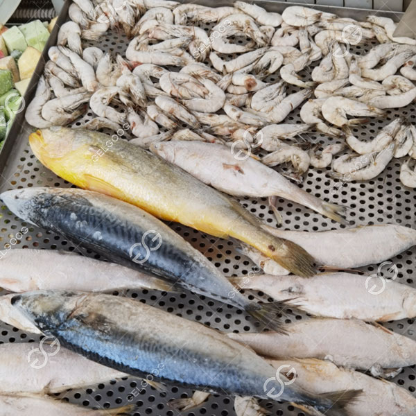 hải sản đông lạnh.jpg