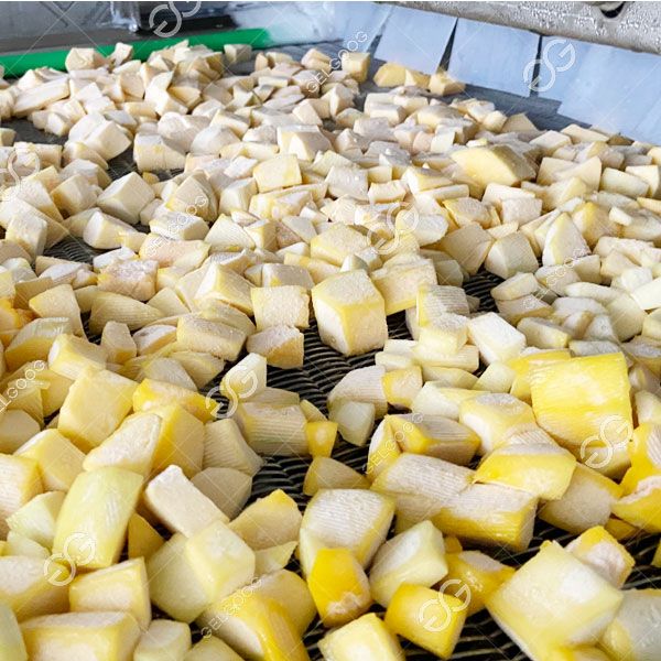 ứng dụng tủ đông trái cây.jpg