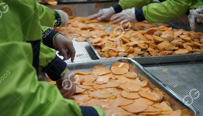 Cung cấp hỗ trợ kỹ thuật