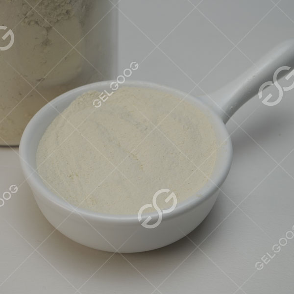 Nhà máy sản xuất bột tỏi chìa khóa trao tay