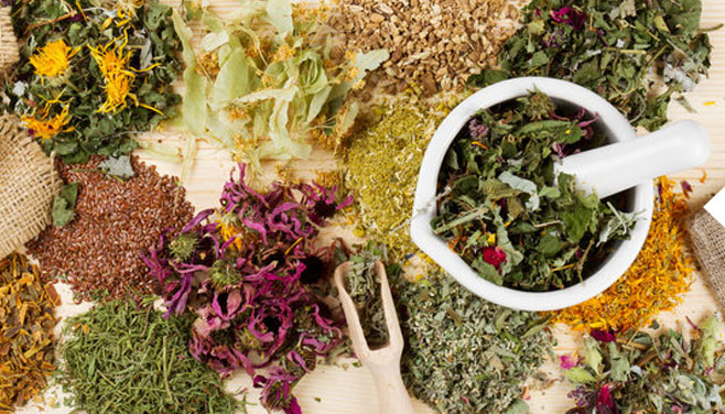 3. Phạm vi ứng dụng rộng rãi