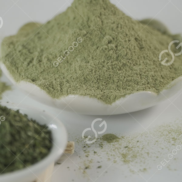 Máy chế biến sản xuất bột lá Moringa
