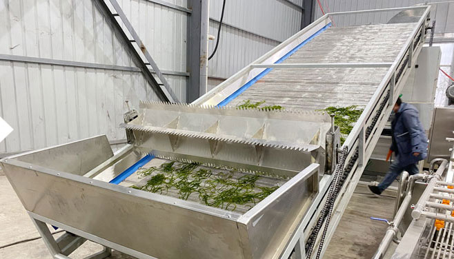 2. Hiệu quả hoạt động