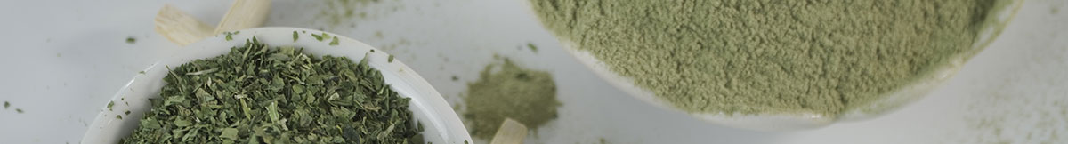 Máy chế biến sản xuất bột lá Moringa