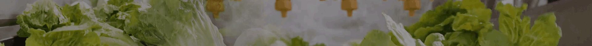 Làm sạch rau quả