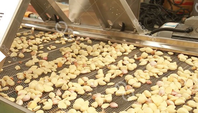 Không phá hủy tỏi