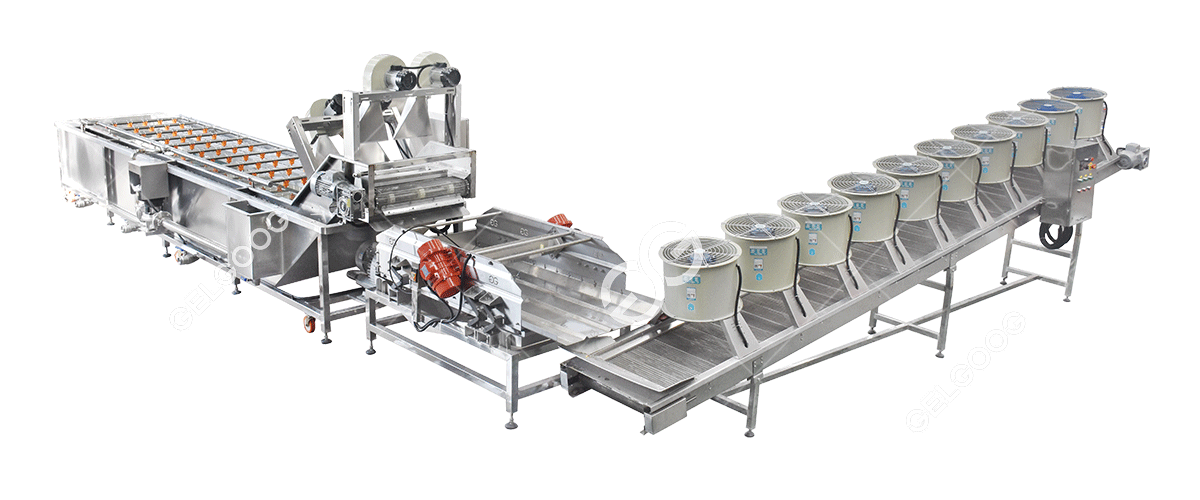 Dây chuyền chế biến rau quả Dây chuyền chế biến rau quả