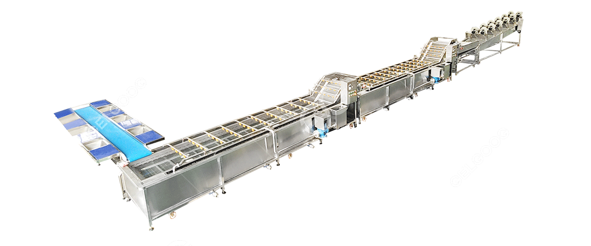 dây lột tỏi dây lột tỏi