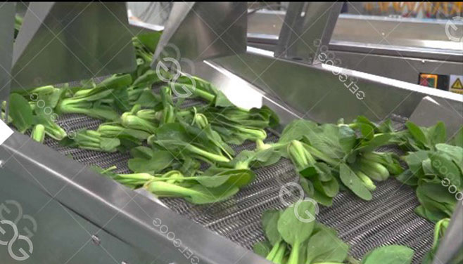 Dễ dàng điều chỉnh về mặt cơ học