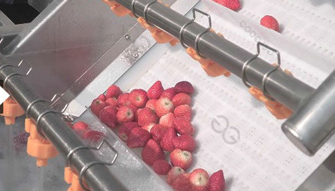 Có thể khử trùng và diệt khuẩn