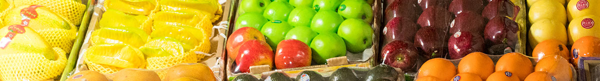 Hệ thống rửa, đánh bóng và phân loại dây chuyền chế biến trái cây 