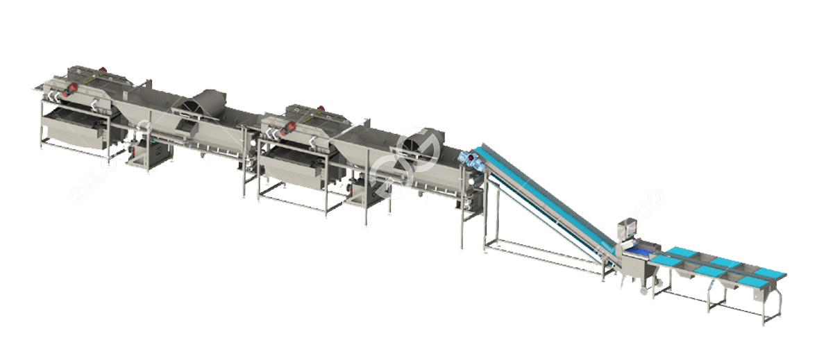 Dây chuyền rửa và đánh bóng trái cây Dây chuyền rửa và đánh bóng trái cây