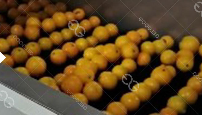 Sức khỏe và An toàn