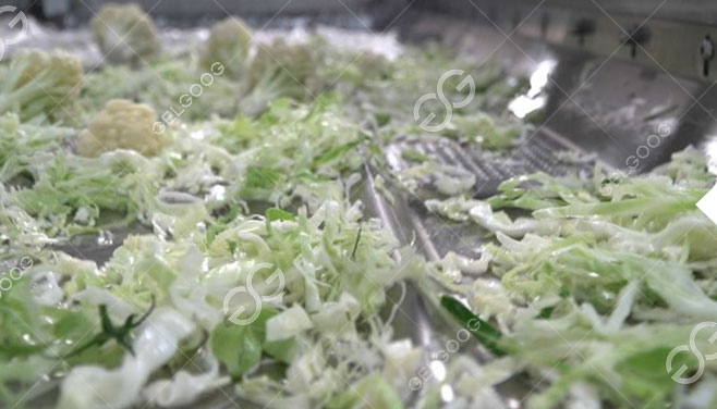 Đã tiệt trùng và khử trùng