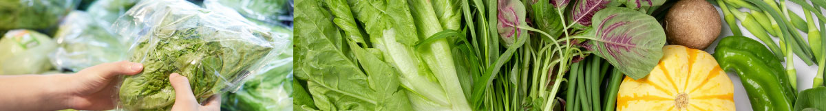 Dây chuyền chế biến rau củ quả có rửa sấy đóng gói